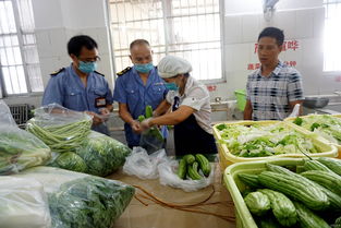 縣食藥監局對食用農(nóng)産品進行監督抽檢